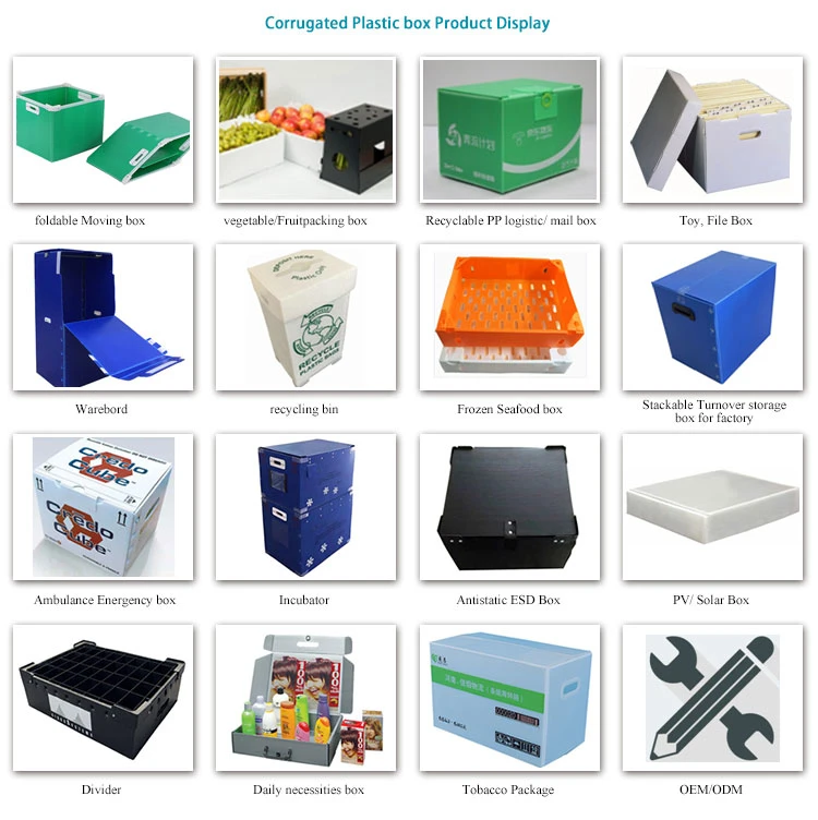 Vegetable and Fruit PP Corrugated Plastic Packaging Box